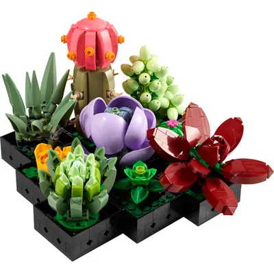 Succulents — set 10309