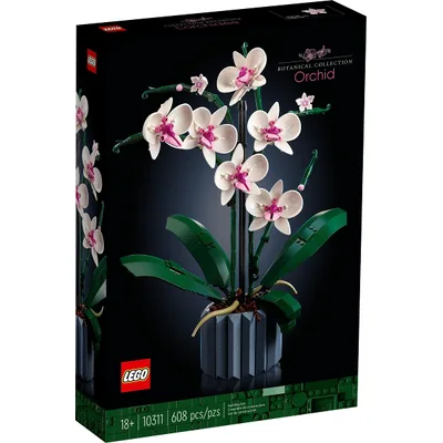 Orchid — box