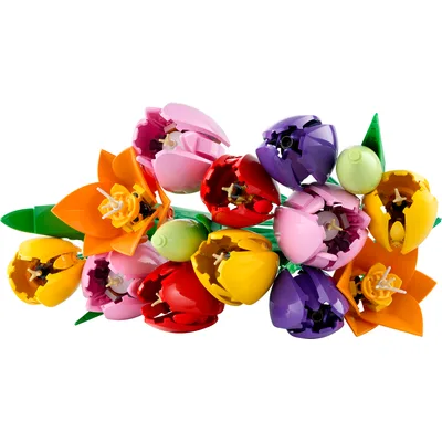 Tulip Bouquet — set 11501
