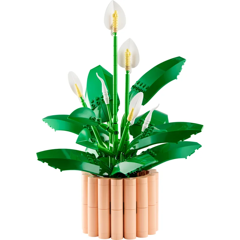 Peace Lily — set 11504