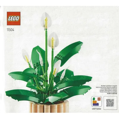 Peace Lily — instructions