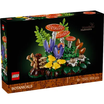 Woodland Mushrooms — box