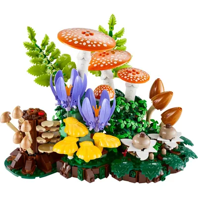 Woodland Mushrooms — set 11505