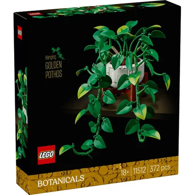 Hanging Golden Pothos — box